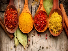 NetObjects Fusion Essentials